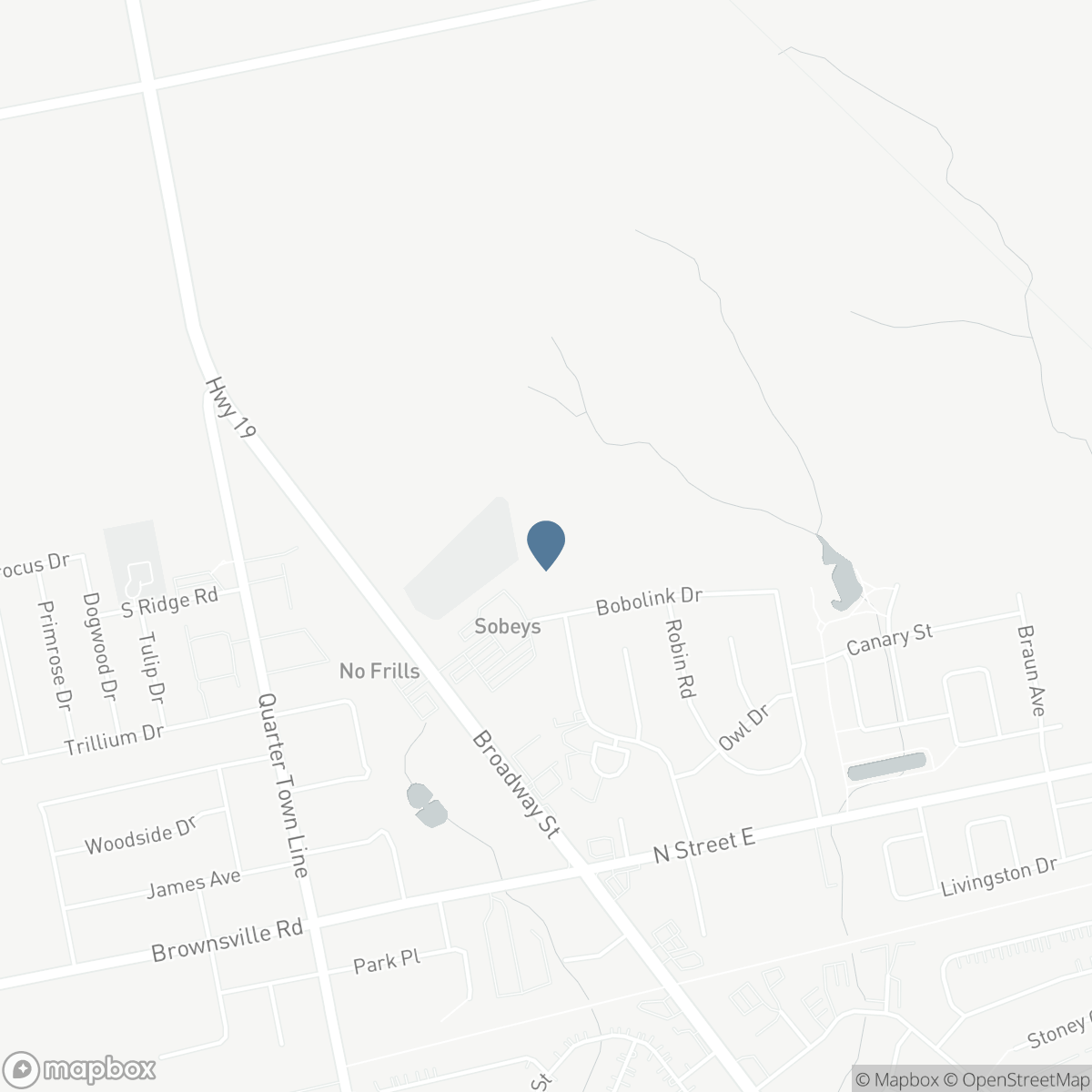66 WOODCOCK DRIVE, Tillsonburg, Ontario N4G 0L9